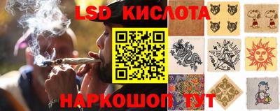 мдпв Жуковский