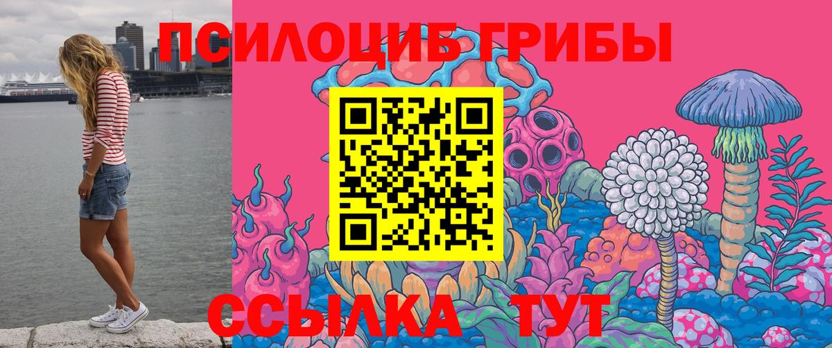 Галлюциногенные грибы Psilocybine cubensis Ливны